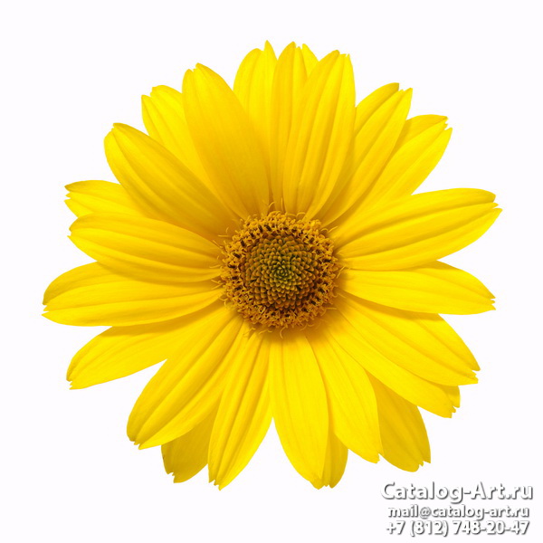 Натяжные потолки с фотопечатью - Желтые цветы 12